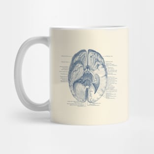 Brain Nervous System Diagram - Vintage Anatomy Mug